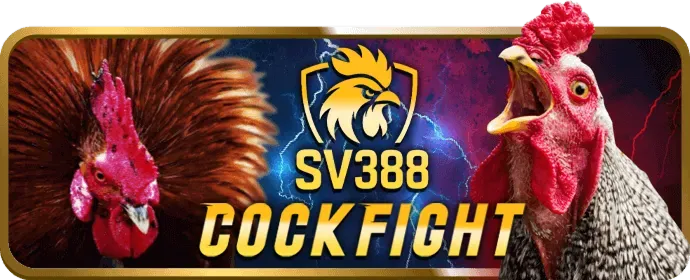 Hỗ trợ khách hàng và cá cược có trách nhiệm tại bj88vn nhà cái